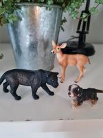 Schleich Panther Reh Hund im Set Schleswig-Holstein - Flensburg Vorschau