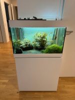 Aquarium 125L+Eheim professionell 3 Filter+Zubehör Stuttgart - Stuttgart-Mitte Vorschau