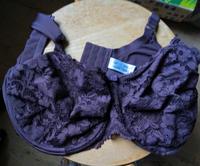 BH-Set mit Slip Bayern - Lautrach Vorschau