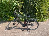 Letzte Chance!!! E Bike Bergamont  E-Line C-N8 Tiefeinsteiger Niedersachsen - Hemmingen Vorschau