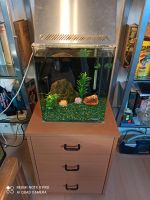 Dennerle Nano Cube Aquarium Baden-Württemberg - Pforzheim Vorschau