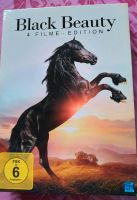 Black Beauty 4 Filme Nordrhein-Westfalen - Schwalmtal Vorschau