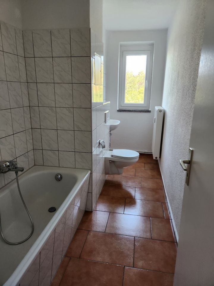 1 Zimmer Singlewohnung in der Braunsdorfer Straße in Lutherstadt Wittenberg