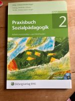 Erzieherin Erzieher Kindergarten Sozialpädagogik Lehrbuch Baden-Württemberg - Bodman-Ludwigshafen Vorschau