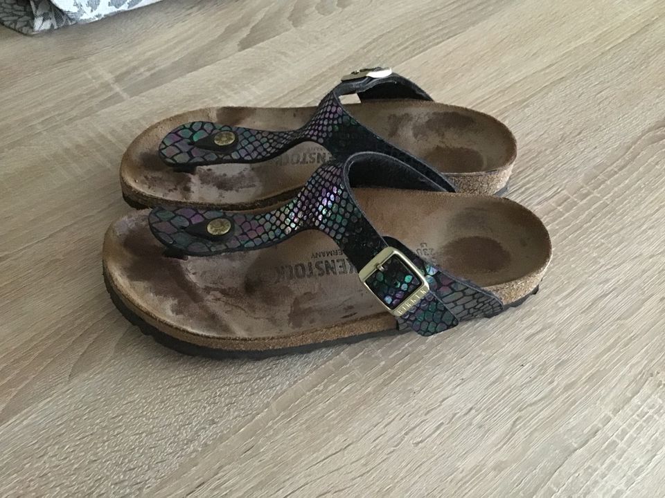 Birkenstock 36 Gizeh in Solingen