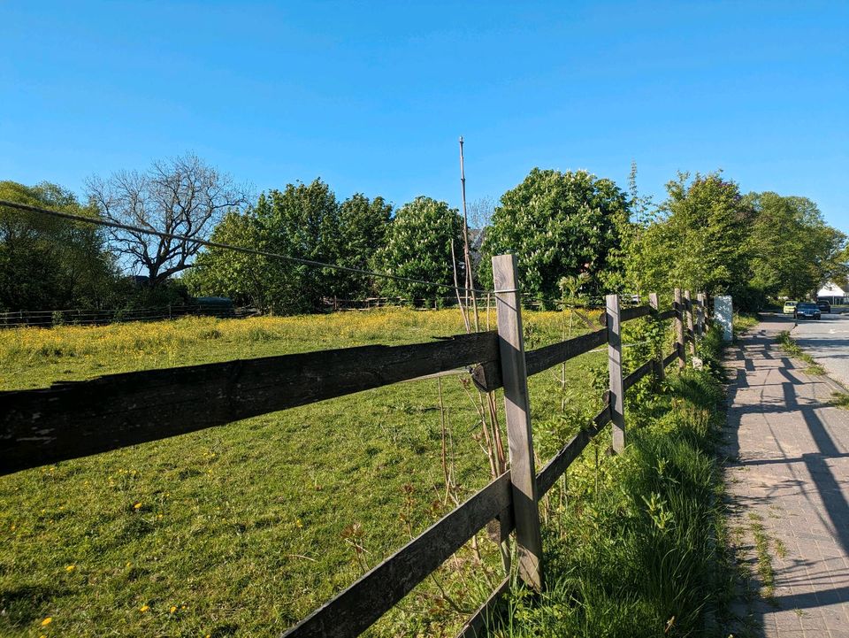 Zaunriegel, Weidezaun, Halbrundlatten , Zaunlatten in Reinfeld