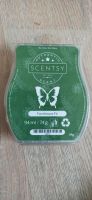 Scentsy Duftpods/Melts Farmhouse Fir Bayern - Oberpleichfeld Vorschau