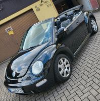VW New Beetle Rheinland-Pfalz - Mehlingen Vorschau