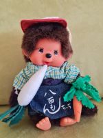 Monchhichi  verschiedene Modelle Bayern - Neu Ulm Vorschau