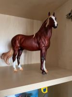 Breyer Modellpferd Premier Club Cancion Niedersachsen - Damme Vorschau