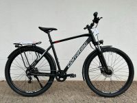 SALE 29" Corratec MTC Base Gent MTB/Cross, 8fach Alfine, RH 49/50 Friedrichshain-Kreuzberg - Friedrichshain Vorschau