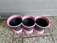 Pflanztopf / 3 in 1  / Kräutertopf / schwarz rosa Schwerin - Gartenstadt - Ostorf Vorschau