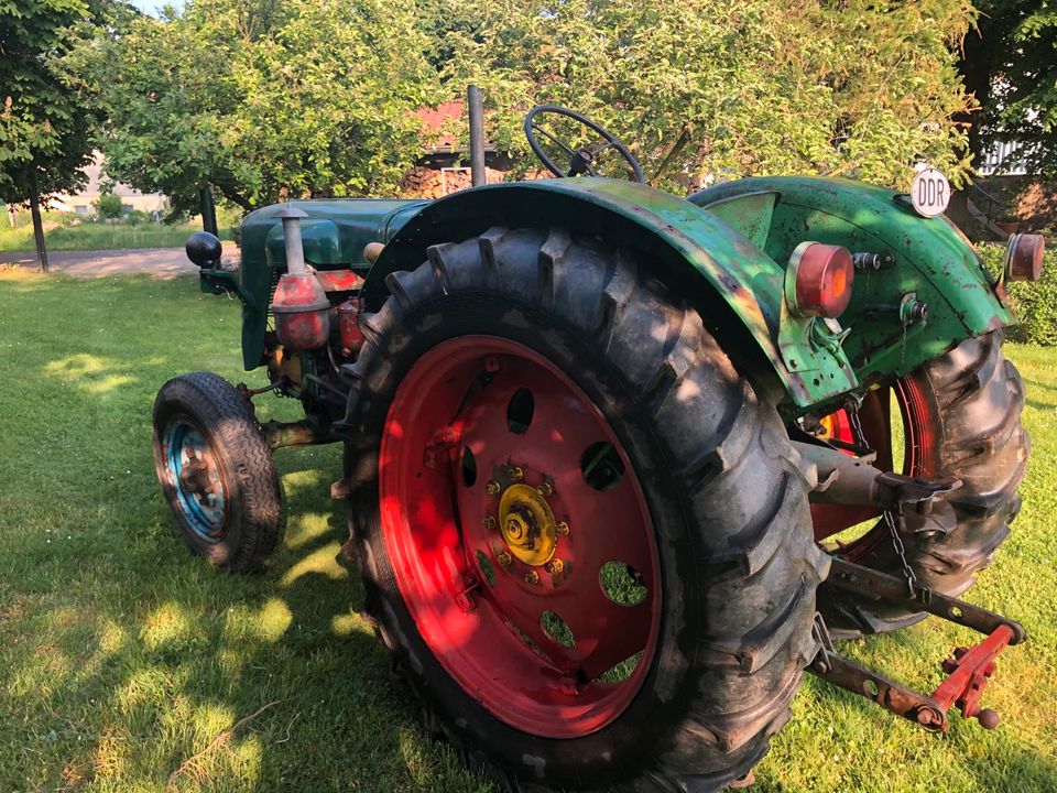 Famulus RS 14/36 L in Großtreben-Zwethau