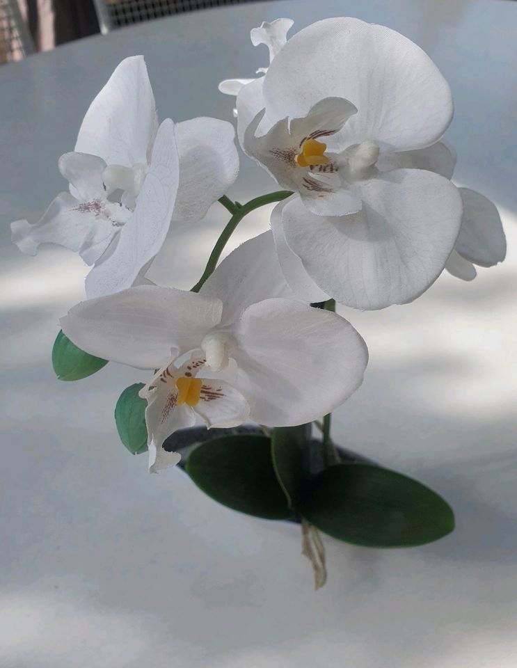 Orchidee Kunstpflanze in Waldmohr