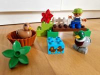 LEGO DUPLO Entenfütterung (10581) aus 1. Hand Hessen - Kassel Vorschau