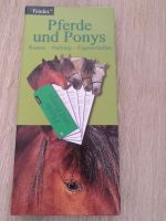 Fandex Wissenskarten Pferde und Ponys Nürnberg (Mittelfr) - Südstadt Vorschau