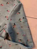 CMP Softshelljacke Gr M Nordrhein-Westfalen - Vreden Vorschau