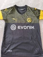 BVB 09 Trikot Sachsen - Eilenburg Vorschau