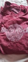 Hardrock Pulli Berlin Frauen Dortmund - Persebeck Vorschau