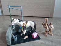 Schleich Pferde Waschplatz 42104 Sachsen - Oberlungwitz Vorschau