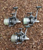 3× Daiwa Emblem Pro 4500 Angelrollen Karpfen mit gef. Line Clips Niedersachsen - Bad Bentheim Vorschau