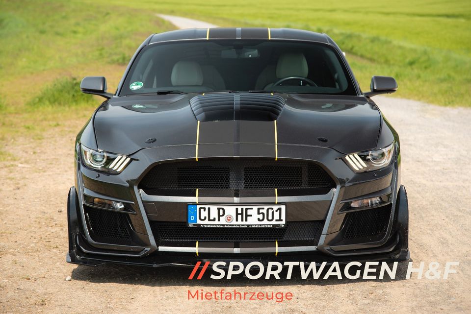 Ford Mustang GT 5.0 mieten V8 Sportwagen Hochzeit Auto Mietwagen in Löningen