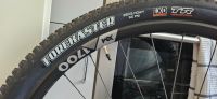 MAXXIS Forekaster 29x2.40WT, EXO TR Berlin - Spandau Vorschau