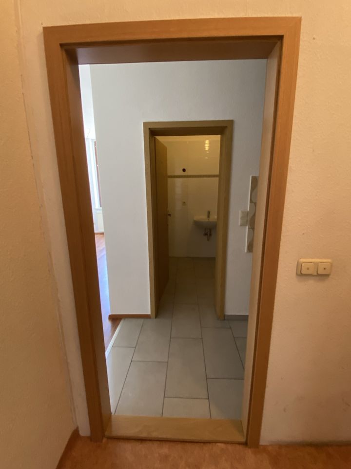 Komplett renovierte 1-Zimmer EG-Wohnung in Torgau direkt an der Elbe in Torgau
