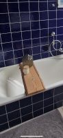 Badewannenbrett | Eiche | DIY | B74xH6xT27cm Niedersachsen - Meine Vorschau