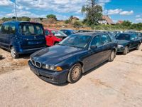 BMW 525d e39 Stoßstange, Kotflügel, Türen Sachsen-Anhalt - Oranienbaum-Wörlitz Vorschau