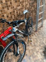 Fahrrad /Roller Hessen - Fulda Vorschau