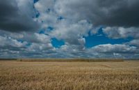 144 tausend Hektar Landwirtschaftsfläche Niedersachsen - Damme Vorschau