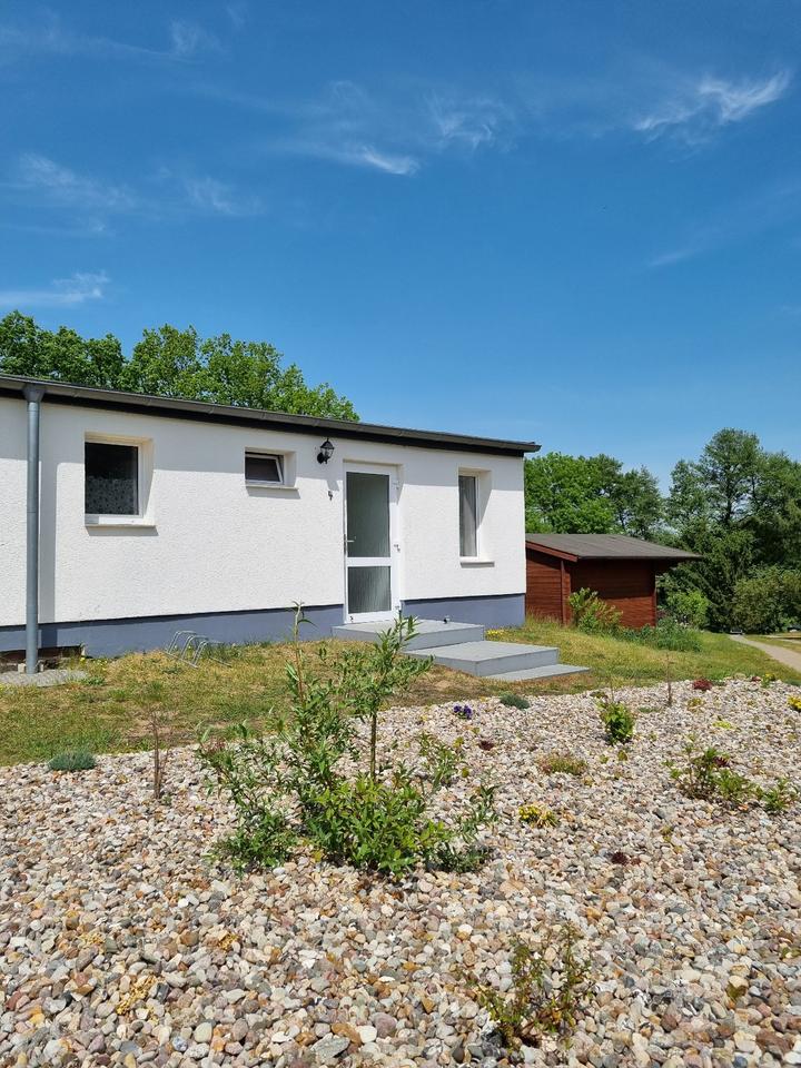 Ferienhaus am See mit Steg, Motorboot, E- Bikes, Paddelboote, SUP in Rheinsberg