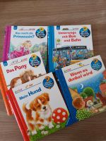 Wieso weshalb warum Junior Buch  Hund Pony Bus Prinzessin dunkel Nordrhein-Westfalen - Wenden Vorschau