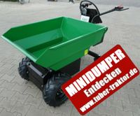 Elektrodumper Geo MD500 Eco Elektroschubkarre 500kg Nutzlast NEU Niedersachsen - Berne Vorschau