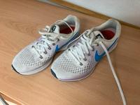 Nike Zoom Pegasus 34 Größe 38,5 Rheinland-Pfalz - Vettelschoß Vorschau
