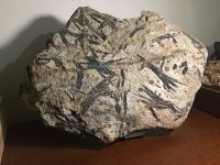 Granat, Hornblende XXL (Mineralien, Edelsteine, Esoterik) Nordrhein-Westfalen - Soest Vorschau