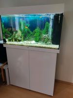 Juwel Aquarium 125l mit Schrank Nordrhein-Westfalen - Meckenheim Vorschau