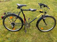 Herrenfahrrad 26 Zoll Sachsen - Radeberg Vorschau