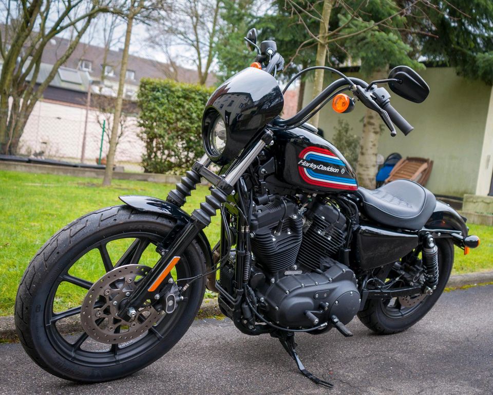 Harley Davidson Sportster Iron in Gelsenkirchen