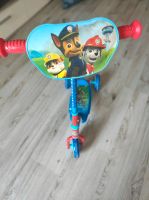 Kinder Paw Patrol Roller, 3 Räder Schleswig-Holstein - Neumünster Vorschau