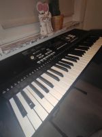 Keyboard wie NEU ‼️ Dortmund - Rahm Vorschau