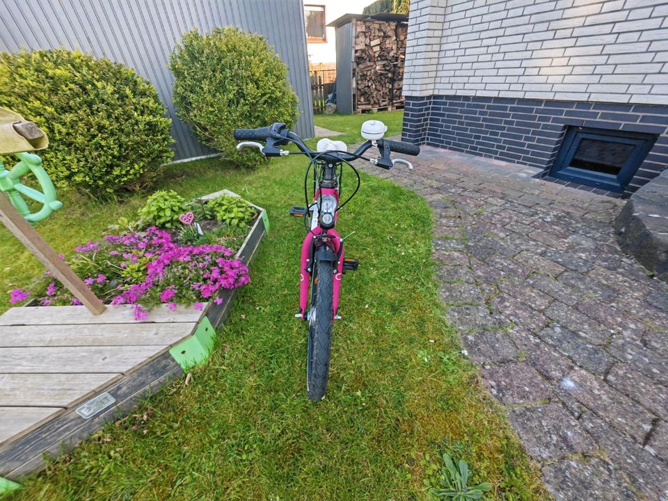 Kinder Fahrrad 20 Zoll Scool S'cool Chix Mädchen in Pinneberg