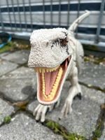 Jurassic world Velociraptor (Groß) Nordrhein-Westfalen - Mönchengladbach Vorschau