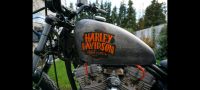 Harley Davidson Sportster Einzelstück 883 Nordrhein-Westfalen - Erkelenz Vorschau