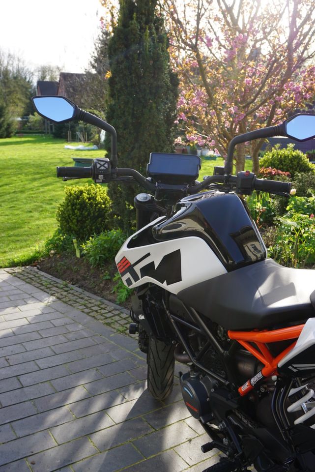 KTM Duke 125 - 2019 in Verden