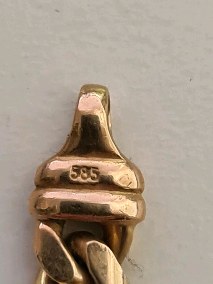 Schöne Halskette (Flachpanzer) in 14 Karat Gold 585 in Bempflingen