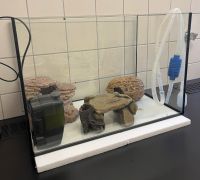 Aquarium, inkl. Zubehör (L60 x B35 x H40) Nordrhein-Westfalen - Viersen Vorschau