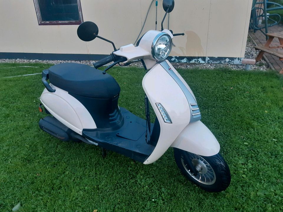 Motowell Elenor 50  Roller  4T in Tessin