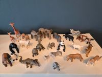 Schleich Tiere Duisburg - Rumeln-Kaldenhausen Vorschau